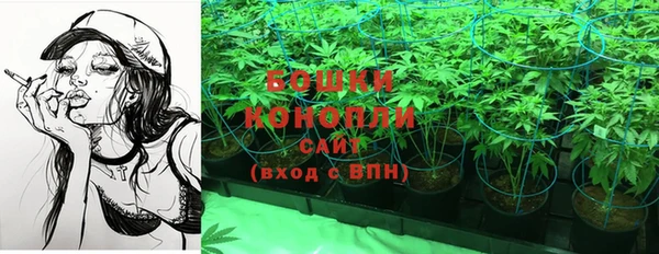 ПСИЛОЦИБИНОВЫЕ ГРИБЫ Абаза