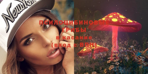 ПСИЛОЦИБИНОВЫЕ ГРИБЫ Абаза